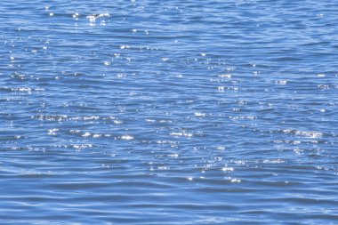 Su arkaplanının yansımalarında mavi ve beyaz renk desenleri