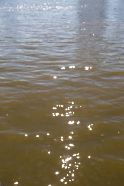 soyut su yansımaları bokeh arkaplan