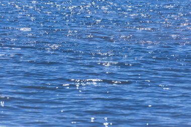 Su arkaplanındaki yansımalardaki mavi ve beyaz renk desenleri