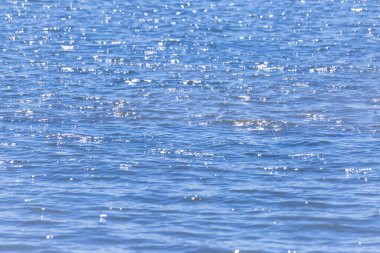 Su arkaplanındaki yansımalardaki mavi ve beyaz renk desenleri