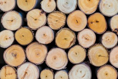 Kesik ağaç kütükleri odun dokusu arka planı yığını