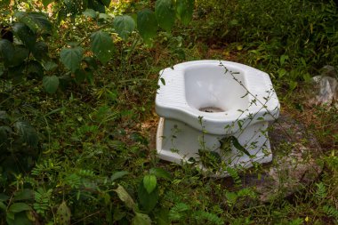 Ormanda beyaz seramik tuvalet doğa