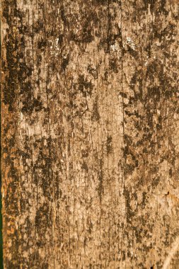 Eski yıpranmış ahşap arka plan