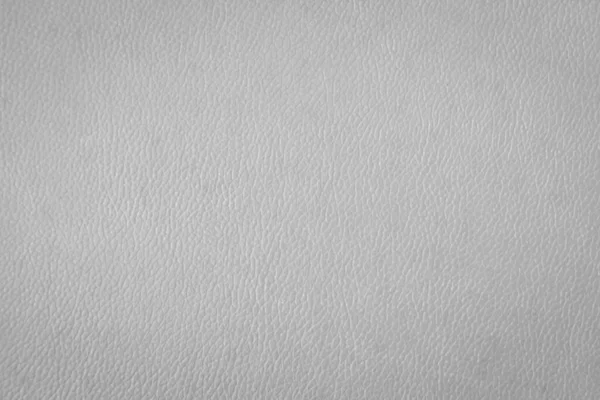 Fondo Textura Cuero Blanco — Foto de Stock