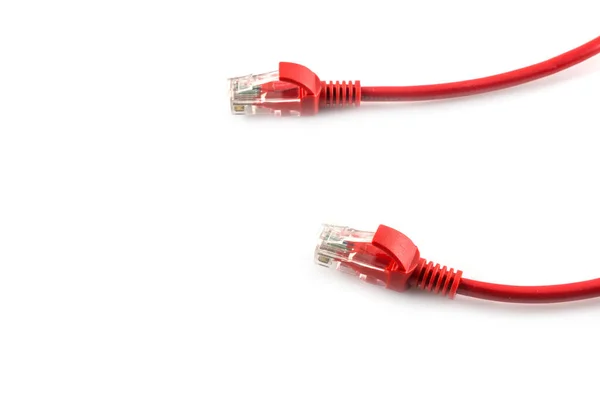 Cable Internet Red Aislado Sobre Fondo Blanco — Foto de Stock