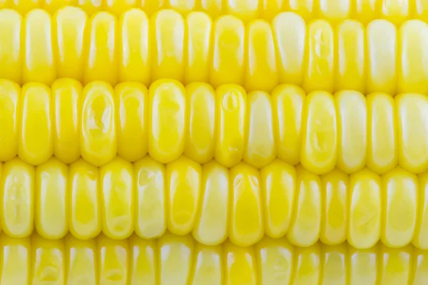 Close Sementes Milho Textura Agricultura Fundo — Fotografia de Stock