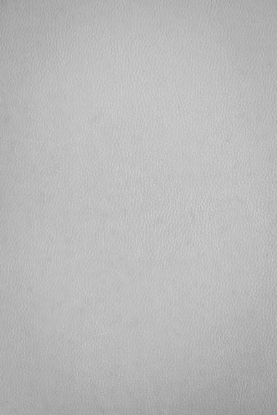 Fondo Textura Cuero Blanco —  Fotos de Stock