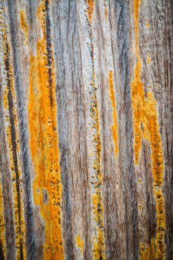 eski ahşap doku arkaplanı