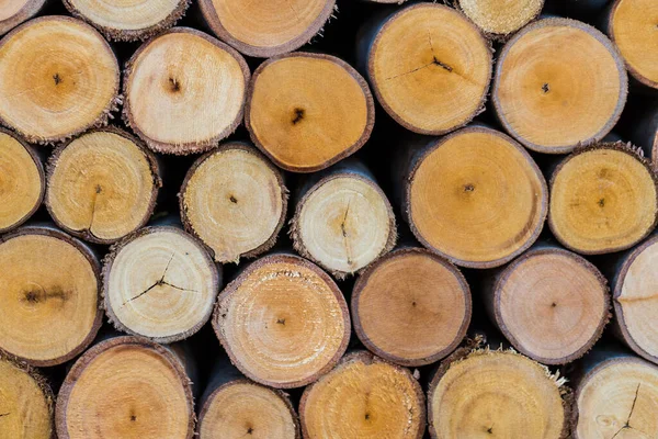 Haufen Geschnittene Baumstämme Holz Textur Hintergrund — Stockfoto