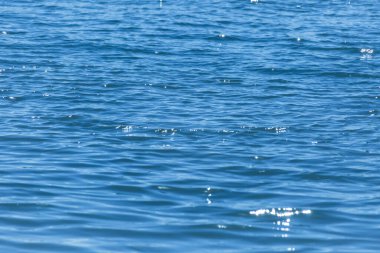 Su arkaplanındaki yansımalardaki mavi ve beyaz renk desenleri