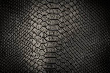 siyah yılan derisi desen arkaplan