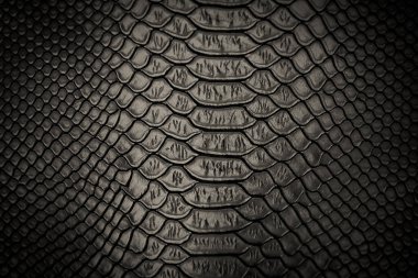 siyah yılan derisi desen arkaplan