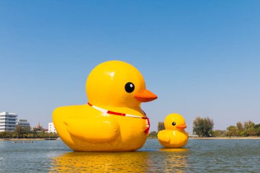 Mavi gökyüzündeki suda büyük sarı ördek