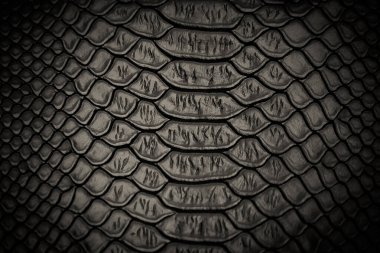 siyah yılan derisi desen arkaplan