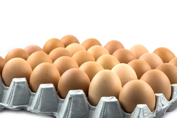 Свіжі Яйця Упаковці Ізольовані Білому Тлі — стокове фото