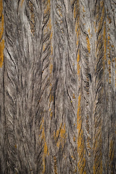 Textura Hnědého Dřeva Použití Jako Přirozené Pozadí — Stock fotografie