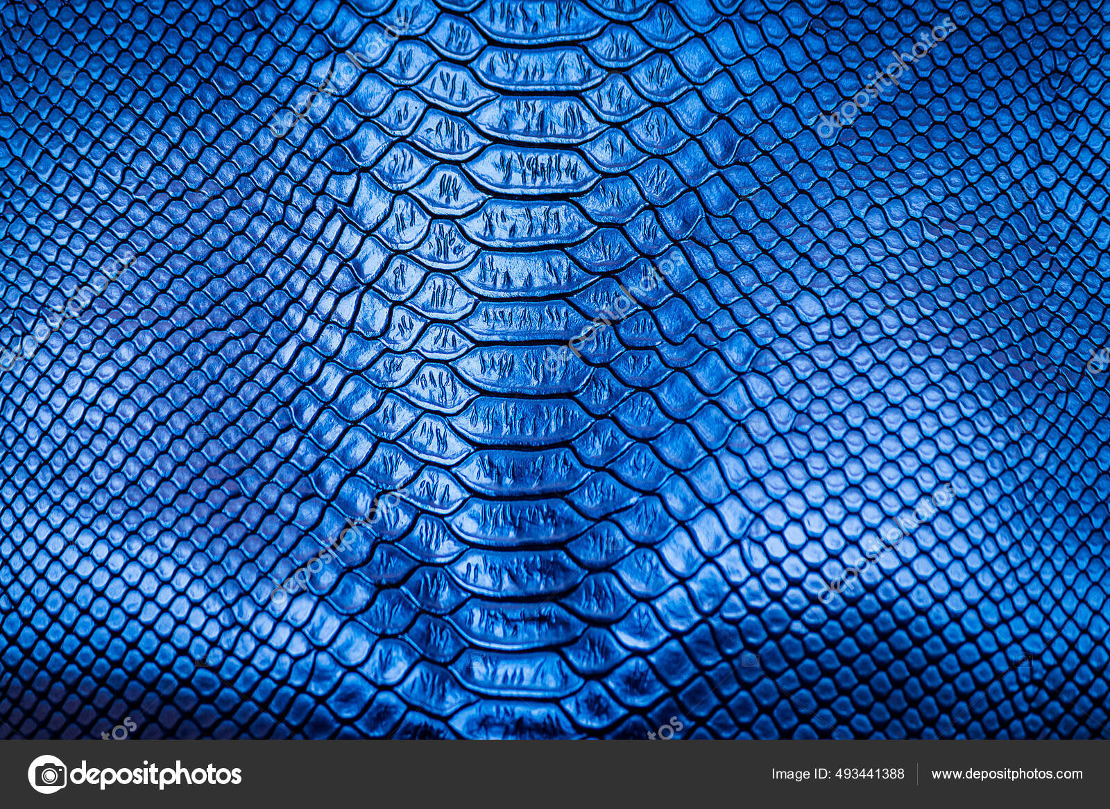 Blue snake Stock Photos, Royalty Free Blue snake Images | Depositphotos Blue snake Stock Photos, Royalty Free Blue snake Images | Depositphotos