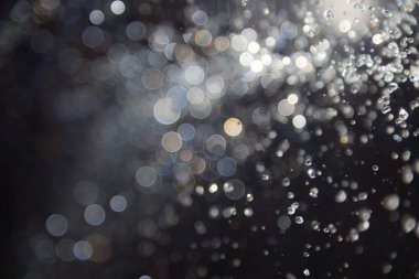 Su sineği bokeh ve siyah zemin üzerinde ışıklar