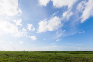 Mavi gökyüzünün altındaki yeşil alan. doğa arkaplanı
