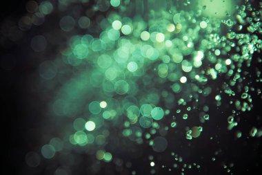 Su sineği bokeh ve siyah zemin üzerinde ışıklar