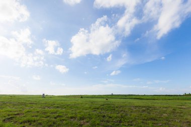 Mavi gökyüzünün altındaki yeşil alan. doğa arkaplanı