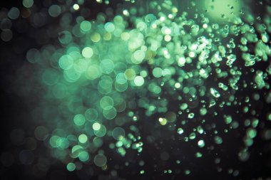 Su sineği bokeh ve siyah zemin üzerinde ışıklar