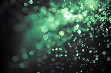 Su sineği bokeh ve siyah zemin üzerinde ışıklar