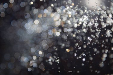 Su sineği bokeh ve siyah zemin üzerinde ışıklar