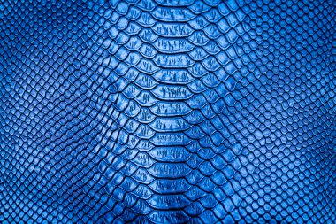 Mavi yılan derisi desen arka plan