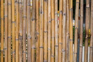 Bambu eskrim dokusunun deseni