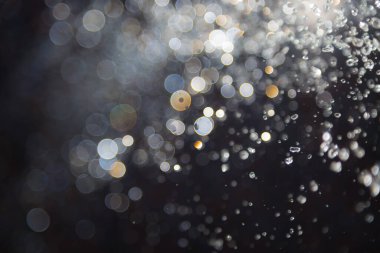 Su sineği bokeh ve siyah zemin üzerinde ışıklar