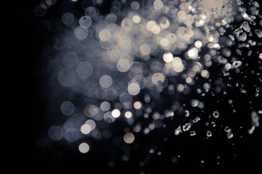 Su sineği bokeh ve siyah zemin üzerinde ışıklar