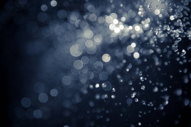 Su sineği bokeh ve siyah zemin üzerinde ışıklar