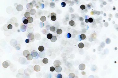 simli bokeh ışıkları bokeh odaklanmış arkaplan