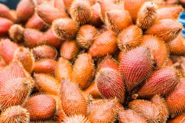 Taze kırmızı Salak meyvesi, Salacca zalacca doğa arka planı