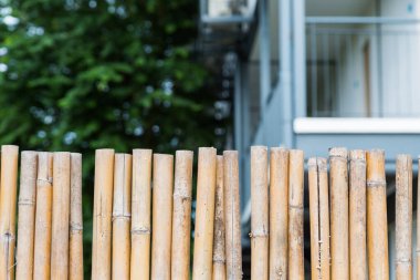 Bambu eskrim dokusunun deseni