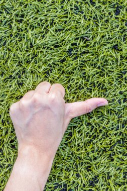 Yeşil çim arka planda kız eli çarpıyor