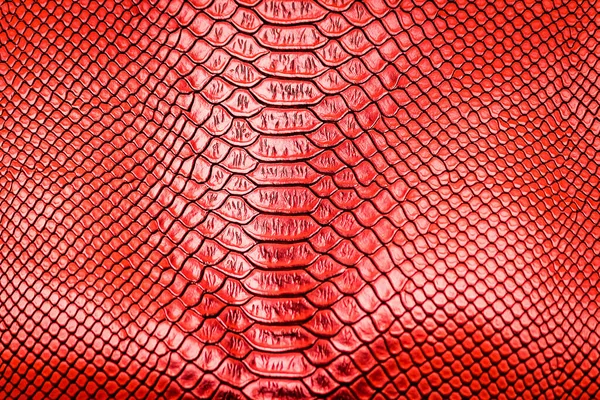 Czerwony Wąż Skóra Wzór Tekstury Tło — Zdjęcie stockowe
