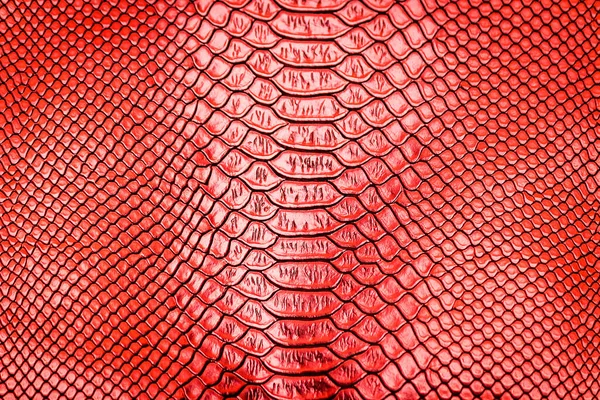 Peau Serpent Rouge Motif Texture Fond — Photo