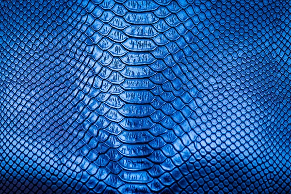 Bleu Peau Serpent Motif Texture Fond — Photo