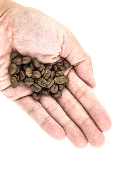 Kaffebønne Hånden Isoleret Hvid Baggrund - Stock-foto