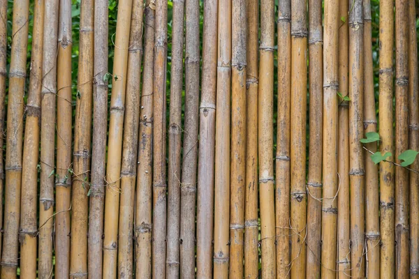 Pattern Bamboo Fencing Texture Background — Stock Photo, Image