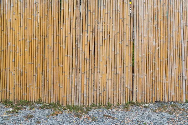 Pattern Bamboo Fencing Texture Background — Stock Photo, Image