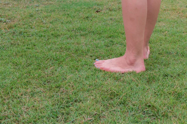 緑の草の上を裸足で歩くと — ストック写真