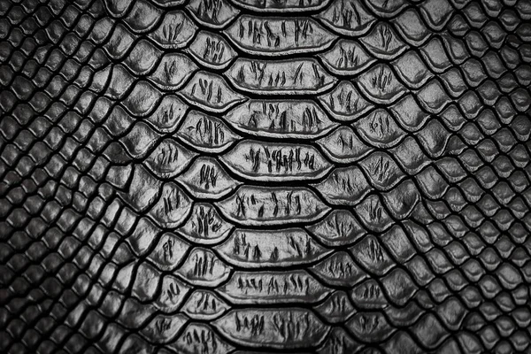 Black Snake Skin Pattern Texture Background — Stock Photo, Image