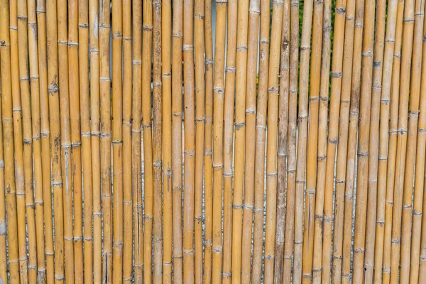 Pattern Bamboo Fencing Texture Background — Stock Photo, Image