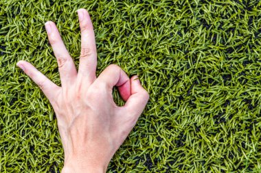 Yeşil çim arka planda kızın elini yakın plan çek.