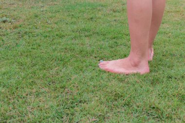 Yılan yalınayak yeşil çimlere basar.