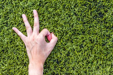 Yeşil çim arka planda kızın elini yakın plan çek.