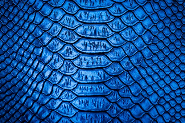 Blauwe Slangenhuid Patroon Textuur Achtergrond — Stockfoto